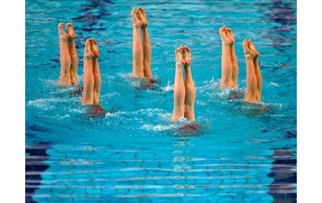 Bilan Synchro